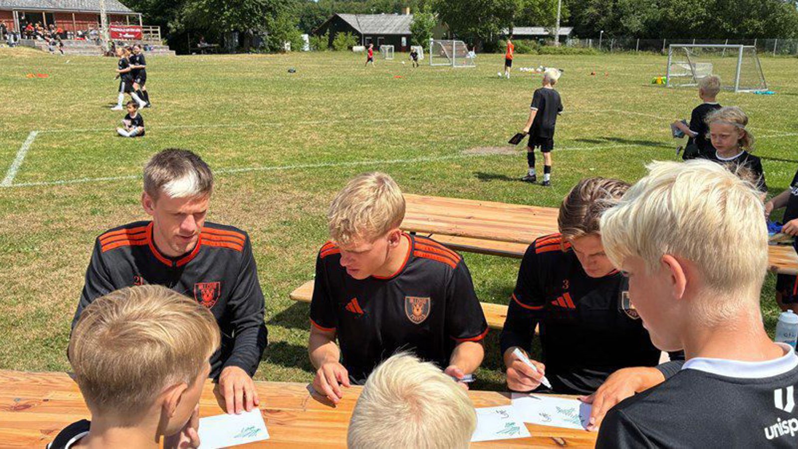 sommercampeliten.jpeg